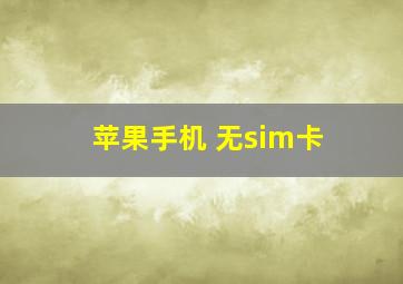 苹果手机 无sim卡